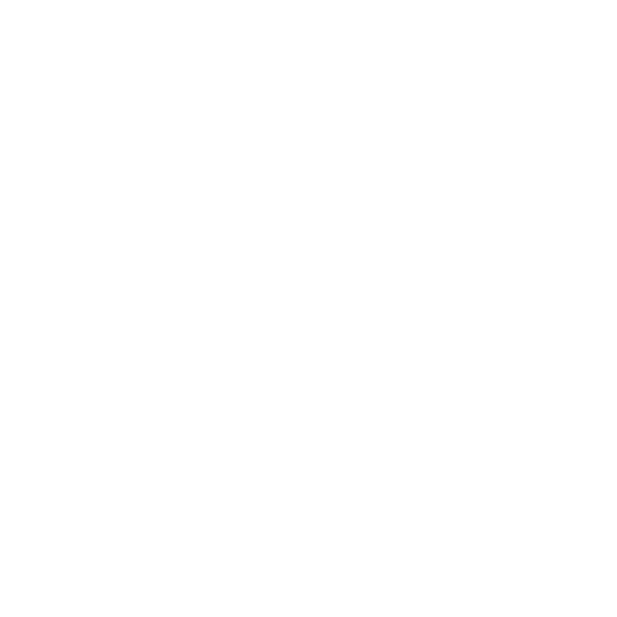 HIGH FIGHTER